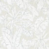 Parlour Palm 112026
